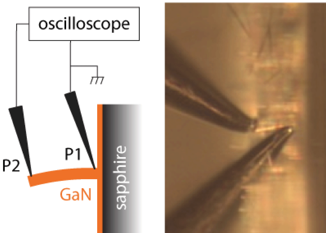 Piezoelectric response of GaN nanowires characterization