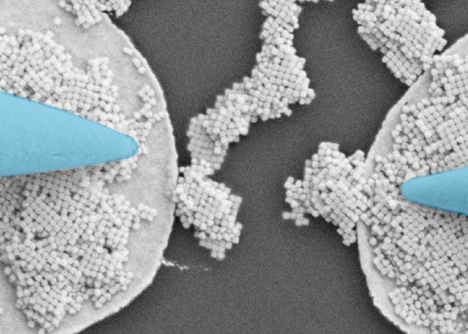 SEM image of two nanoprobes in contact with mesocrystal formation to characterize its electrical properties.